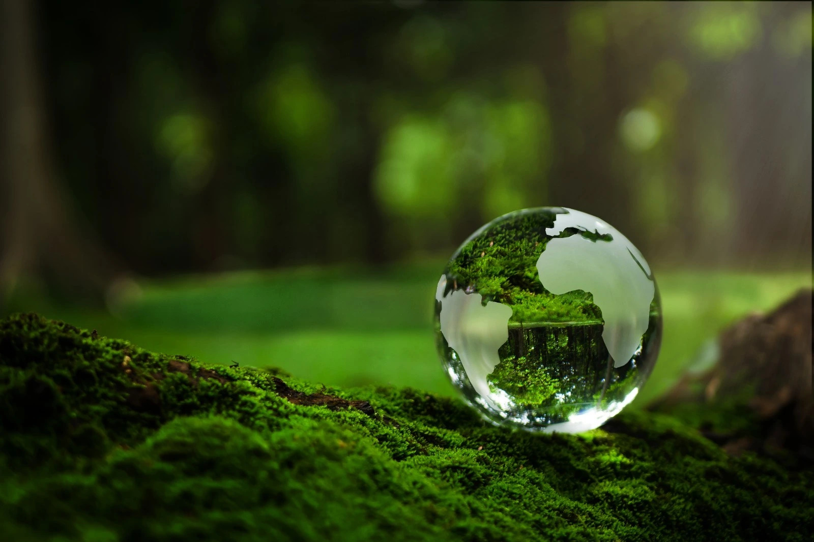 Aggiornamento Documentazione ESG